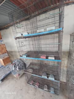 heavy wait  cage with  box  option