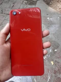 vivo