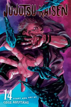 Jujutsu Kasien volume 14