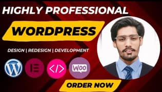 WordPress developer