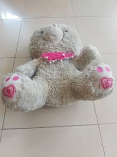 Teddy Bear