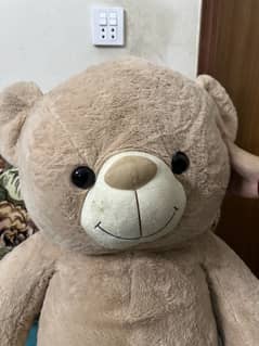 Teddy bear