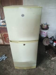 PEL  medium