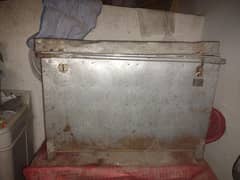 trunk