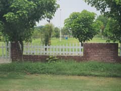 Best Investment Opportunity in BACHS