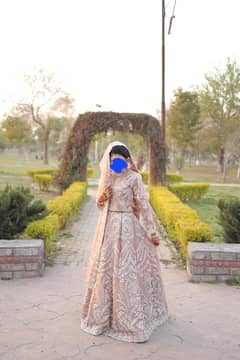 walima