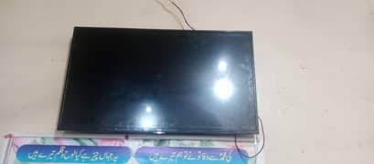 LED 41