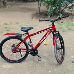 Bicycle