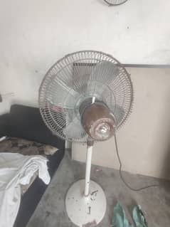 oky hai