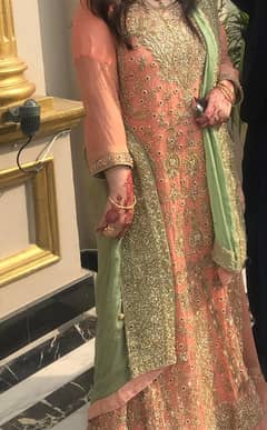 bridle dres for sale