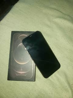 Iphone12promax