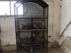 beautiful cage for birds