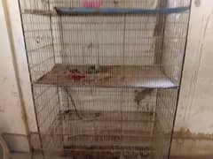 big cage for birds