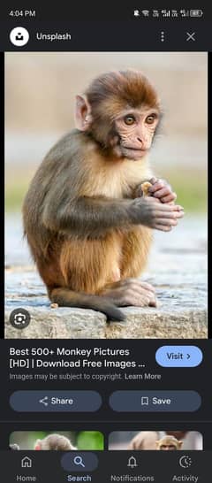monky