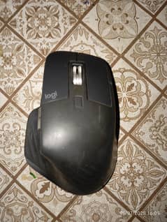 Mouse