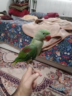 hand