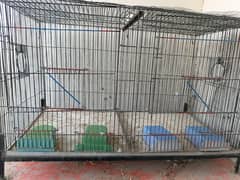 cage r cream cocktail k pair sakna hai with chik