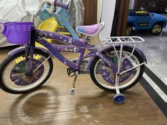 Big size cycle