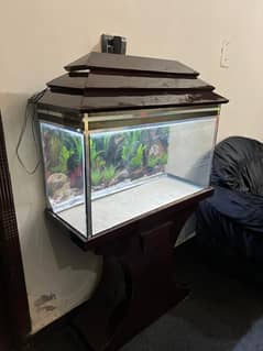 Fish Aquarium