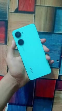 vivo