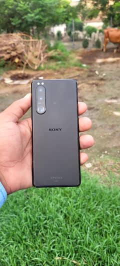 model name Sony 5 Good condition one Green line 10/10