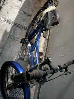 New cycle
