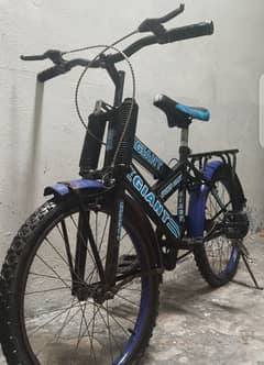 sport bicycle