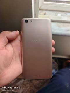 vivo