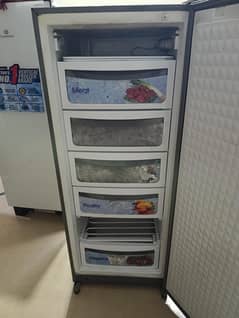 VERTICAL FREEZER DAWLANCE