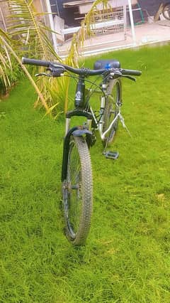 Mountain cycle