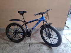 Mountain bike