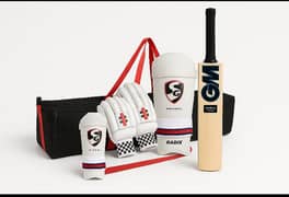 NEWGM BAT GRAY NICOLLS kit bag and hardball