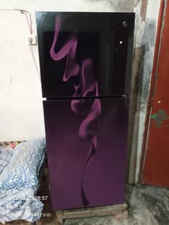 Pel Medium Size FRIDGE
