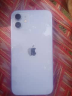 iphone 12 condition 10/10