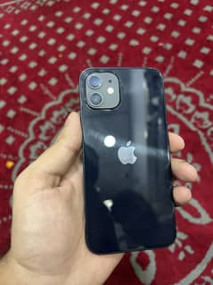 Iphone 12 Dual sim pta approved