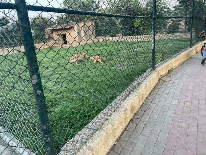 Get In Touch Now To Buy A Plot File In Daska Road 3