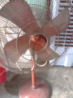 pak fan