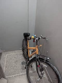Bicycle 10/10