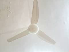 For sale 2 Ceiling Fan