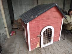 Dog House