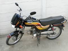 luqman