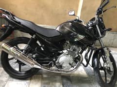 Yamaha ybr 125 Black Japenese varient Lush Conditio