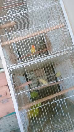 bird cages for sale iron cage love bird cages big size cages