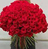 beauty Plus home service
