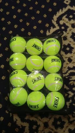 Shine cricket balls best quality not used