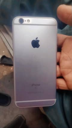 03034024981