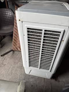 Cooler