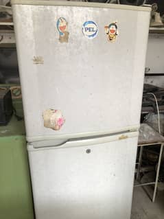 Pel medium size fridge