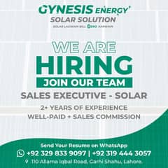 We NEED SALES PESON FOR SOLAR PROJECTS/ Sales Executive