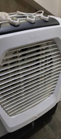 royal air cooler